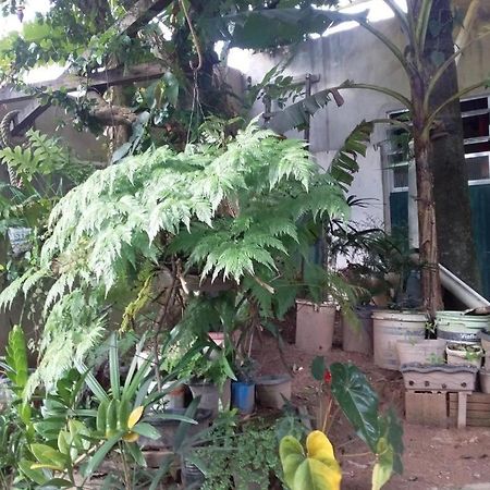 Hostel El Caleuche Rio das Ostras Exteriér fotografie